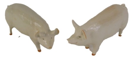 Two Beswick pigs, comprising a CH Wall Coy Boy, and a CH Wall Queen, 14cm wide. (2)