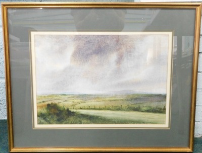 Edward Emerson (20thC). Country landscape, pastel, signed, 86cm x 51cm, label verso. - 2