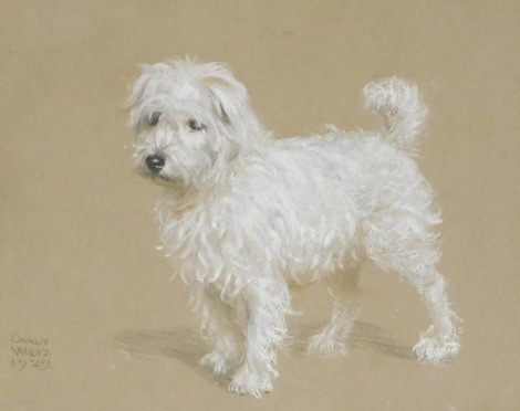 Donald Wood (British 1889-1953). Study of Terrier, reportedly Donald Wood's Little ? pet dog, pastel, signed, dated 1929, 24cm x 29cm.