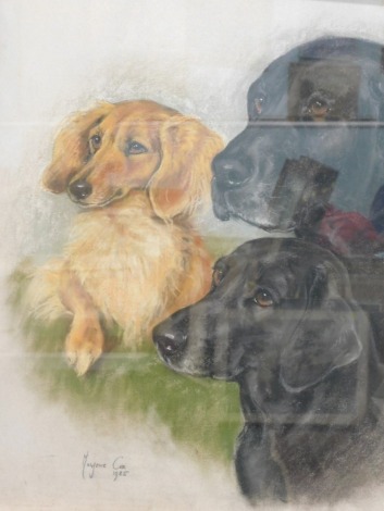 Marjorie Cox (20thC). Portrait study of three dogs, pastel, signed and dated 1985, 55cm x 49cm.