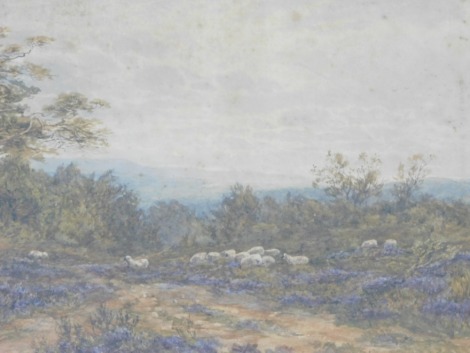 19thC English School. Sheep grazing before trees and hill, watercolour, indistinctly signed, 34cm x 60cm.