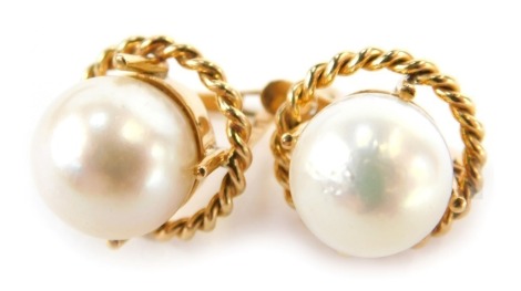 A pair of cultured pearl earrings, each in four claw setting with a rope twist border, in yellow metal mounts, unmarked, 1cm wide, 5.3g all in.