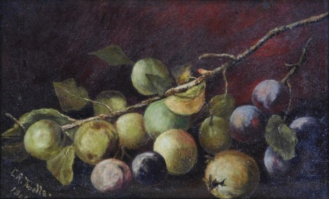 C R Twells (early 20thC School). Still life depicting fruit, oil on canvas, signed and dated 1906, 23cm x 33cm.