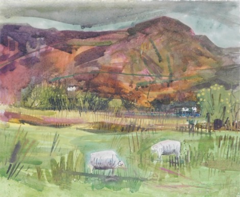 Jenny Wheatley (20thC School). Grazing, watercolour, signed, 28cm x 34cm.