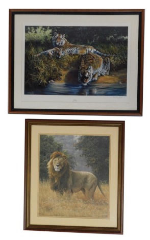 Dorothea Hyde. Resting, signed limited edition print, 107/1500, 40cm x 57cm, together with After Simon Combs. Study of a Lion, signed limited edition print, 541/850, 47cm x 37cm. (2)