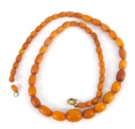 A butterscotch amber necklace, of graduated form, the largest bead, 1.5cm wide, the smallest 1cm wide, on string strand with brass clasp, 14.3g all in.