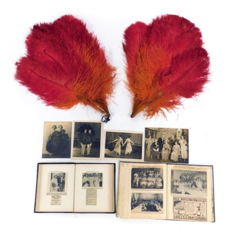 A group of early 20thC ephemera relating to the Prince Twins, comprising a pair of ostrich feather fans, graduated red to orange colour way, 66cm long, together with two albums containing newspaper cuttings of the twins, and a group of photographs, to inc