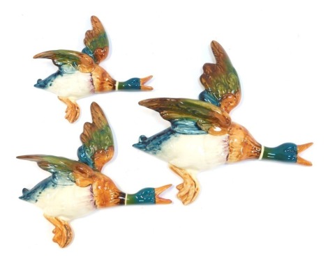 Three Beswick pottery wall mounted flying ducks, the largest 25cm wide.