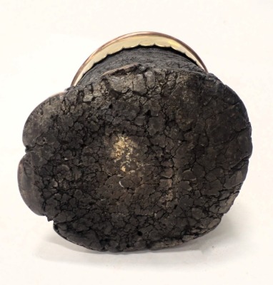 An Edwardian taxidermied elephants foot coal bucket, with a brass and copper petallated band and a metal liner, 31cm high. - 3