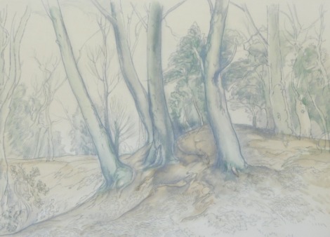 Keith Graham Hill (1895-1977). Forest trees, mixed media, print, possibly hand touched, 33cm x 48cm.