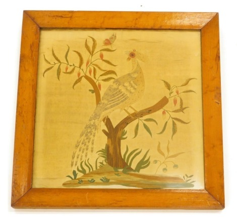 A 19thC silk embroidery, of a pheasant perched on a branch, in maple frame, 42cm x 42cm overall.