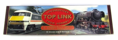 A Hornby Top Link BR 4-6-2 locomotive and tender, 60021, Wild Swan, green livery, R286, boxed.