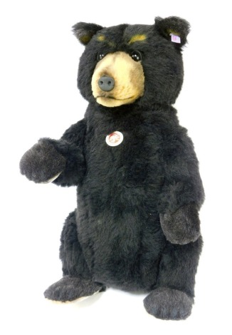 A Steiff Alpaca wool black Bear, growler, limited edition 716/750, 50cm high, boxed with certificate.