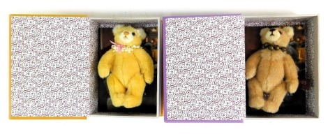 Two plush Hug a Book Collection Charlie Bear Teddy bears, to include The Pawsome Facts Directory, and The Guide to being Bear-illiant, in purple and yellow cases.