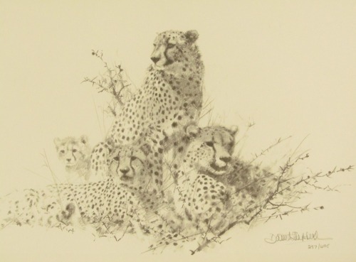 David Shepherd (1931-2017). Four cheetahs, limited edition pencil