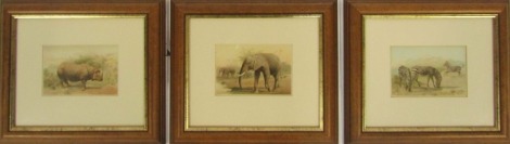 After P G Smith (20thC School). Safari prints, to include rhinoceros, zebras, and elephants, signed, 13cm x 20cm, framed.