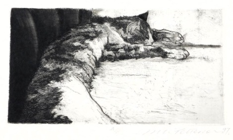 English School (20thC). Jake, artist proof etching of a cat, signed indistinctly and dated '97, 28.5cm x 38cm.