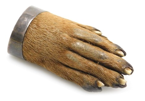 An early 20thC otter's paw brooch, with a plated mount, engraved initials BCOH, 30LB, 29.8.38.