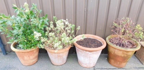 Four terracotta planters.