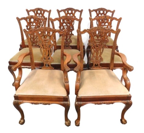 A set of eight Chippendale style dining chairs, including two carvers, with heavy carved and pierced back, drop in seats, on cabriole legs with ball and claw feet.