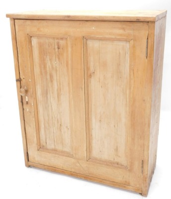 A rustic pine cupboard with a single double panelled door, 75cm high, 78cm wide.