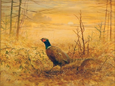 Torey (20th/21st School). Pheasants in autumnal landscape at sunset, oil on board, 28cm x 33cm, in gilt frame.