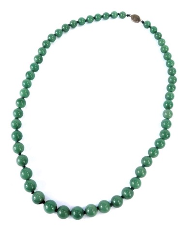 A jadeite graduated necklace, with spherical beads on a knotted string stand, with a gold coloured clasp, white metal unmarked, with filigree scroll decoration, the largest bead 1cm wide, the smallest 8mm wide, 66cm long overall, 89.5g all in.