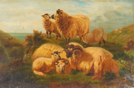 P Richardson (British, early 20thC). Sheep on cliff top landscape, oil on canvas, signed, dated 1907, 45.5cm x 71cm.