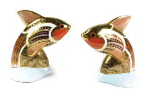 A pair of Royal Crown Derby Imari porcelain paperweights, modelled as tropical fish, Guppies, printed marks.