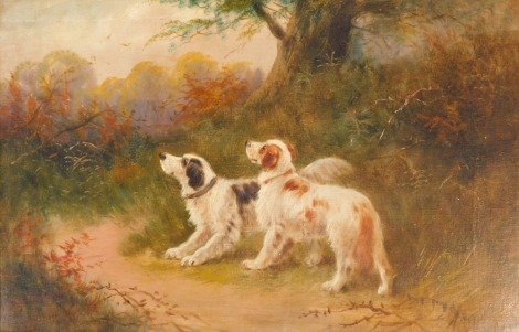 British School (19thC). Hunting dogs in a woodland clearing eying the game birds, oil on canvas, signed indistinctly, 49cm x 60cm.