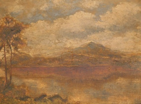 English School (19thC). Mountain and lake landscape, oil on canvas, signed indistinctly, 23.5cm x 34cm.