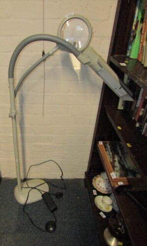 An Ottlite magnifying lamp.