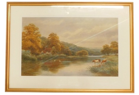 M.Lawes (20thC school). Near Maidenhead river and trees with cattle, signed and titled, 34cm x 52cm, watercolour, framed and glazed.