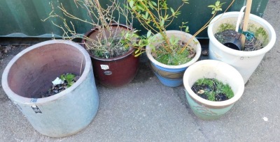 A group of plant pots, differing sizes, colours and designs, the largest 53cm diameter. - 2