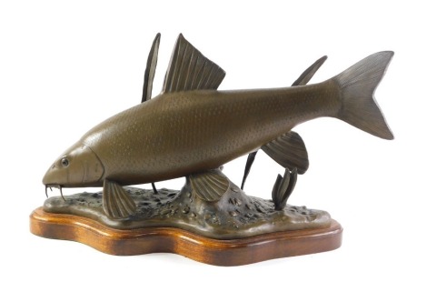 David Hughes. Carp, bronzed resin, on a wooden base, stamped L/E 25NO 12, 56cm wide.