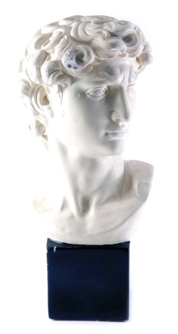 A large plaster Roman style bust, on a black painted base, 60cm high overall.