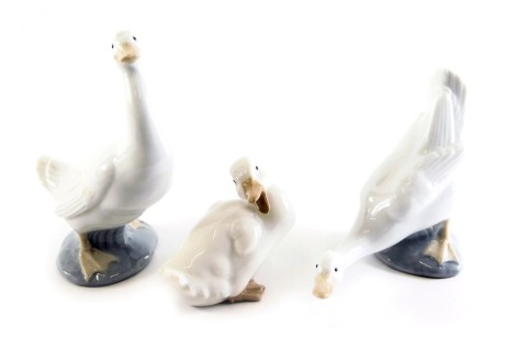 Three Nao porcelain figures, modelled as geese in differing poses, the largest 16cm high, each boxed.