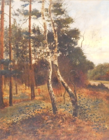 John W. Eyres (19thC). Woodland landscape, oil on canvas, attributed verso, 49cm x 39cm.