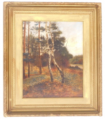 John W. Eyres (19thC). Woodland landscape, oil on canvas, attributed verso, 49cm x 39cm. - 2