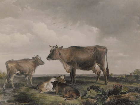 After Thomas Sidney Cooper (1803-1902). The Pasture Osborne, coloured engraving, 22.5cm x 26cm.