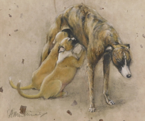 Angela Mulliner. Pups feeding, watercolour, signed, 19.5cm x 22cm. Gallery label verso.