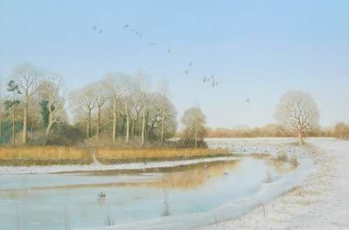 Nick Mace (b.1949). Widgeon over a tidal creek, oil on board, signed and titled verso, 44cm x 64cm.