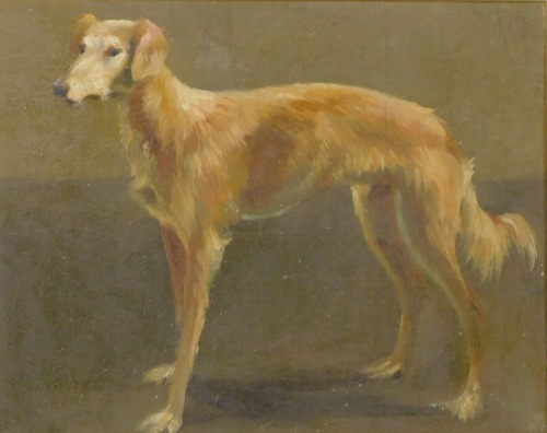 Henry Rayner (1902-1957). Saluki dog c.1925, oil on canvas, signed, 19cm x 24.5cm.