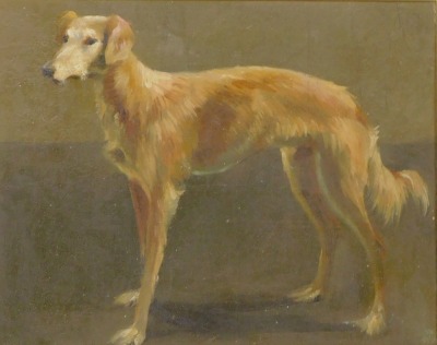 Henry Rayner (1902-1957). Saluki dog c.1925, oil on canvas, signed, 19cm x 24.5cm.