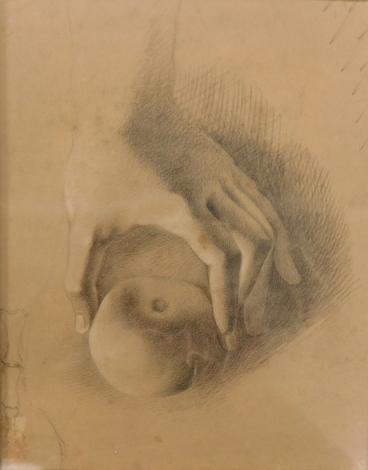 20thC School. Study of a hand holding an apple, pencil, 24cm x 19cm.