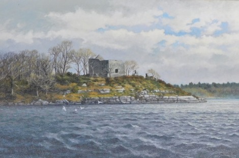 John McNulty (b.1949). Lough Carra, oil on board, signed, titled verso and dated (20)04, 39.5cm x 60cm. Artist labels verso.