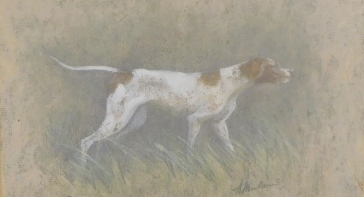 Angela Mulliner (20thC). Pointer, watercolour, signed and titled verso, 15cm x 25cm.