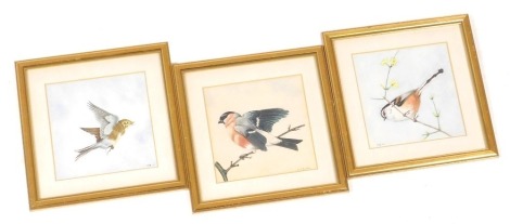 British School (Late 20thC). Three studies of finches and tits, watercolours, monogrammed and dated 1976, 13cm x 13cm.