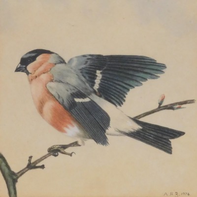 British School (Late 20thC). Three studies of finches and tits, watercolours, monogrammed and dated 1976, 13cm x 13cm. - 3