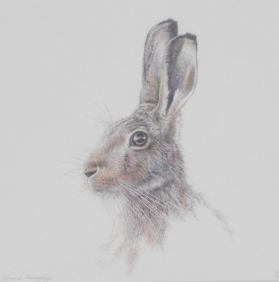 Mark Langley (British, 20th/21stC). Brown Hare, Brown Hare II head studies, pair of limited edition giclee prints, signed, 24cm x 23cm. (2) - 2